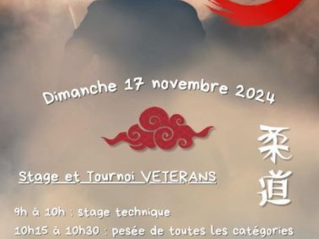 Image de l'actu 'Le dimanche 17 novembre 2024 Stage et tournoi Vétérans au Judo Club d’Ogeu'