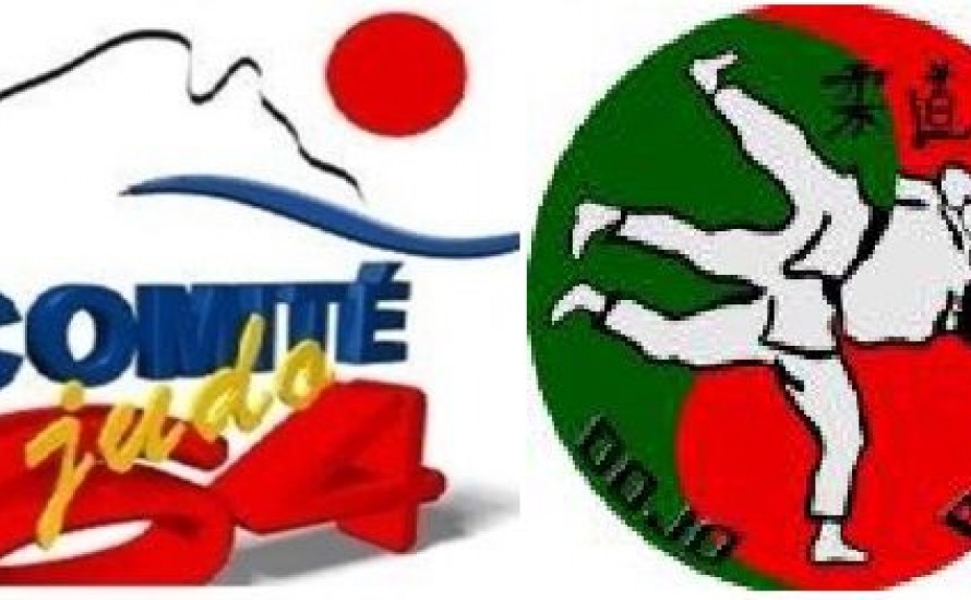 Le dimanche 01 mars 2026 STAGE PREPARATION UV 1 et UV 2 1er, 2ème, 3ème et 4ème DAN COMPETITION et TECHNIQUE et PASSAGE UV 1 et UV2 POUR ACCES 1er et 2ème DAN COMPETITION et TECHNIQUE au Dojo Palois