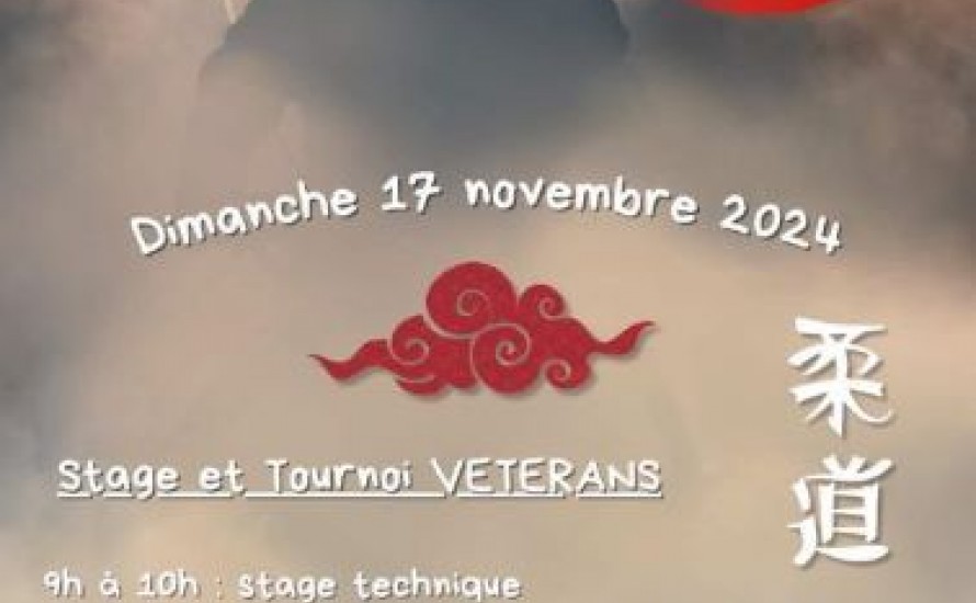 Le dimanche 17 novembre 2024 Stage et tournoi Vétérans au Judo Club d’Ogeu