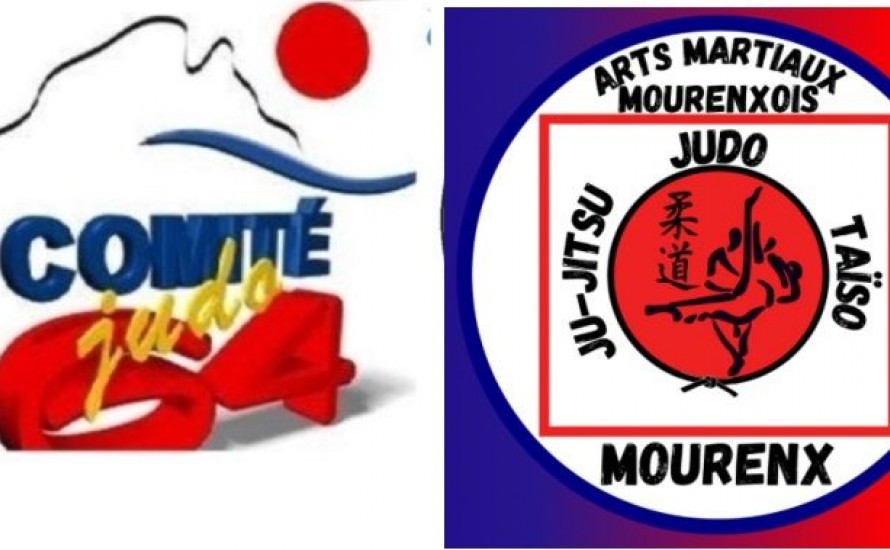 Stage de judo départemental Benjamins /minimes/cadets du lundi 13 avril au mercredi 15 avril 2026 au Dojo de Mourenx